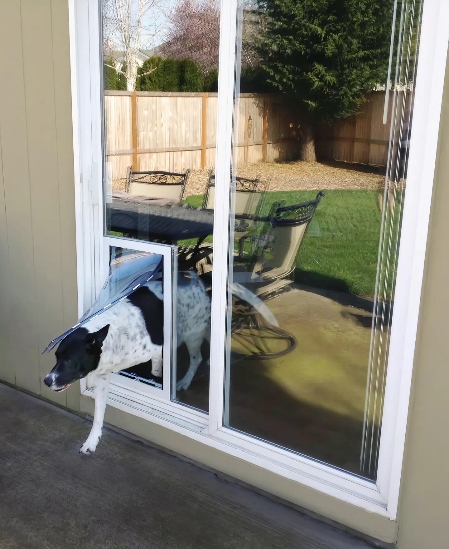 Pet doors in glass Midland installed in sliding glass doors