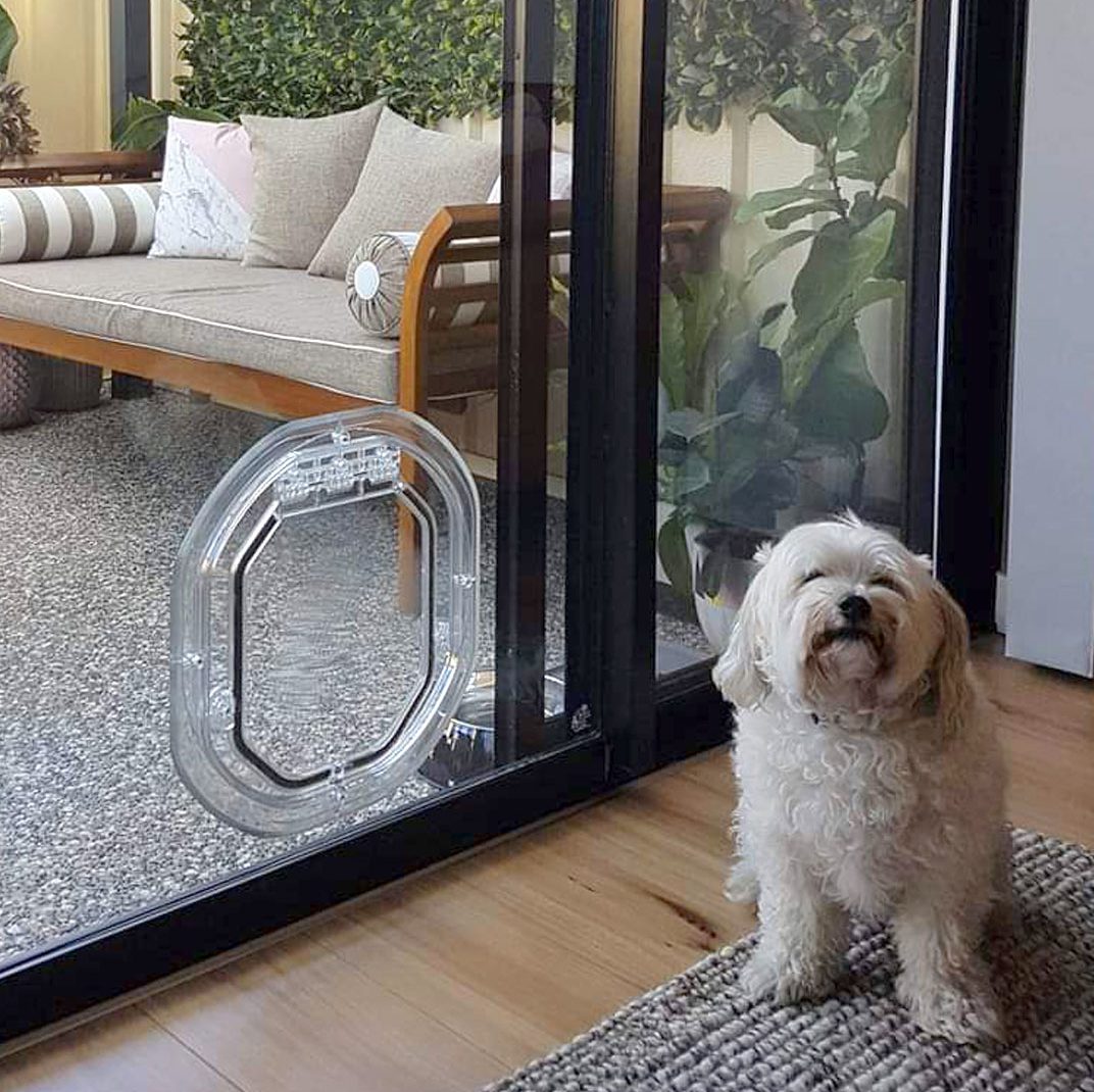 Pet doors in glass Midland for easy pet access at home