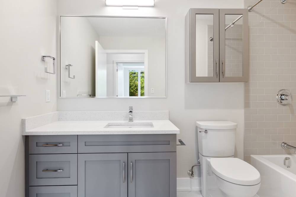 Organic shaped backlit Bathroom mirrors over black vanity sink